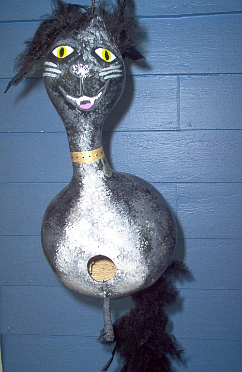 gourd kitty